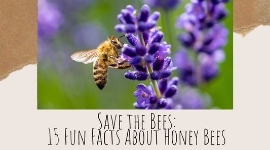 Save the Bees: 15 Fun Facts About Honey Bees