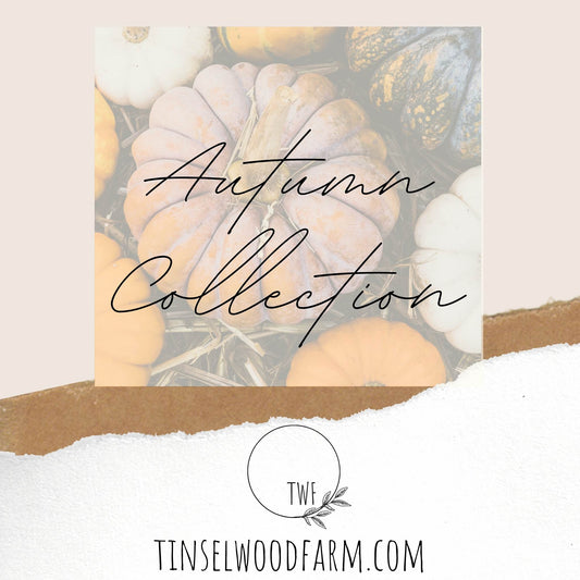Autumn Collection