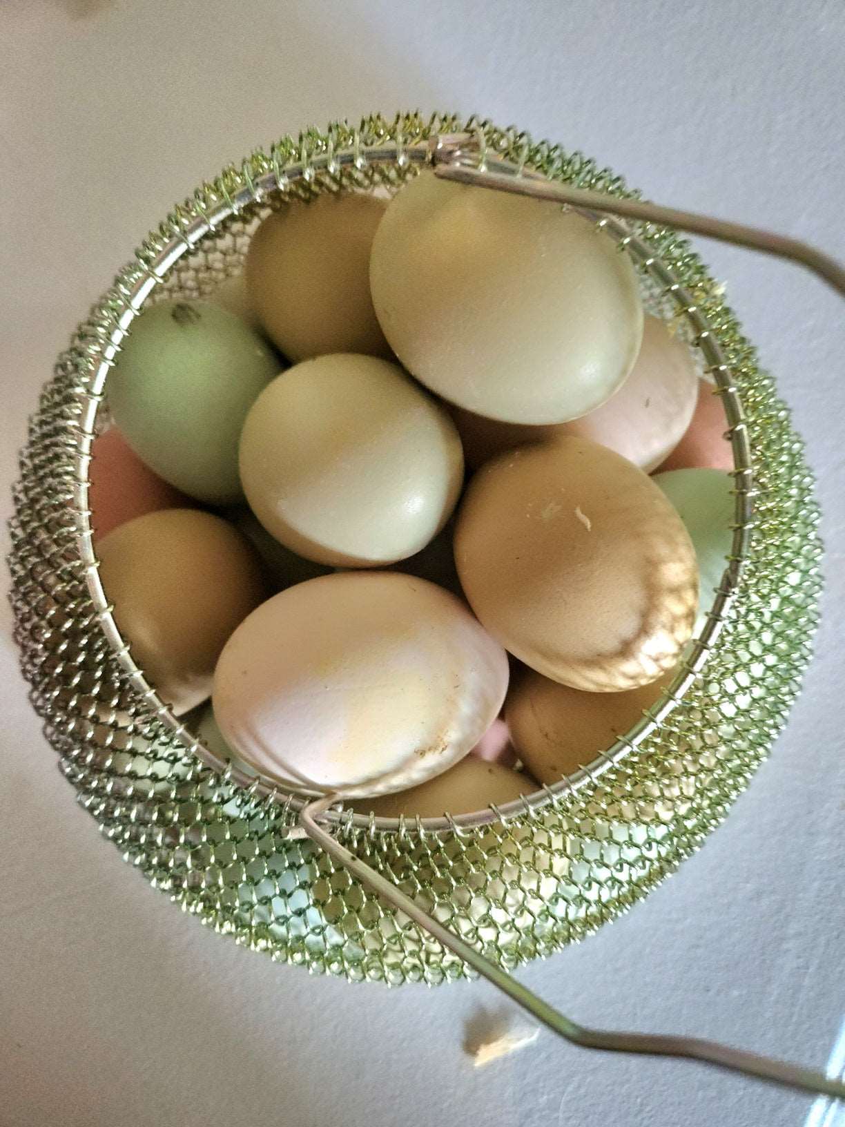 Eggs