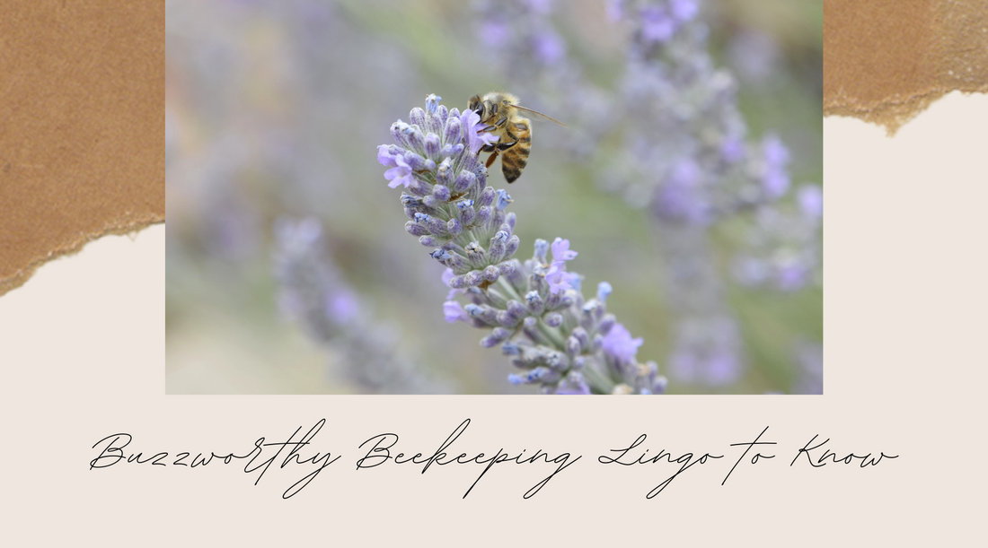 Buzzworthy Beekeeping Lingo to Know