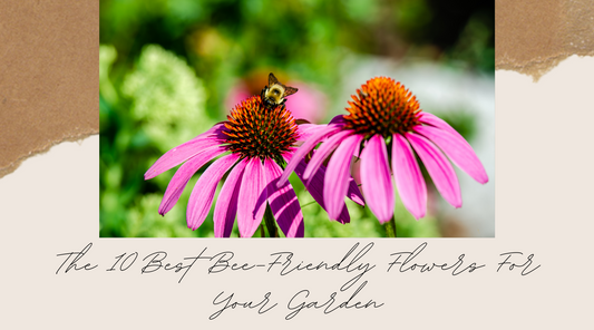 The 10 Best Bee-Friendly Flowers For Your Garden