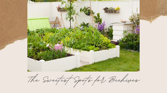 The Sweetest Spots for Beehives