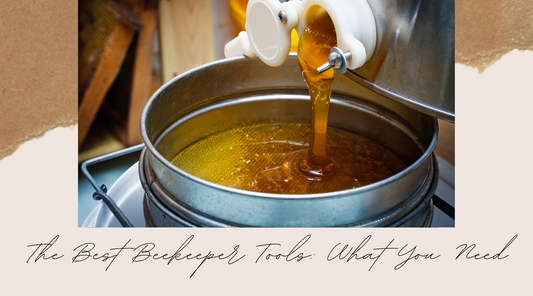 The Best Beekeeper Tools: What You Need