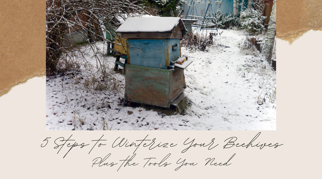 5 Steps to Winterize Your Beehives
