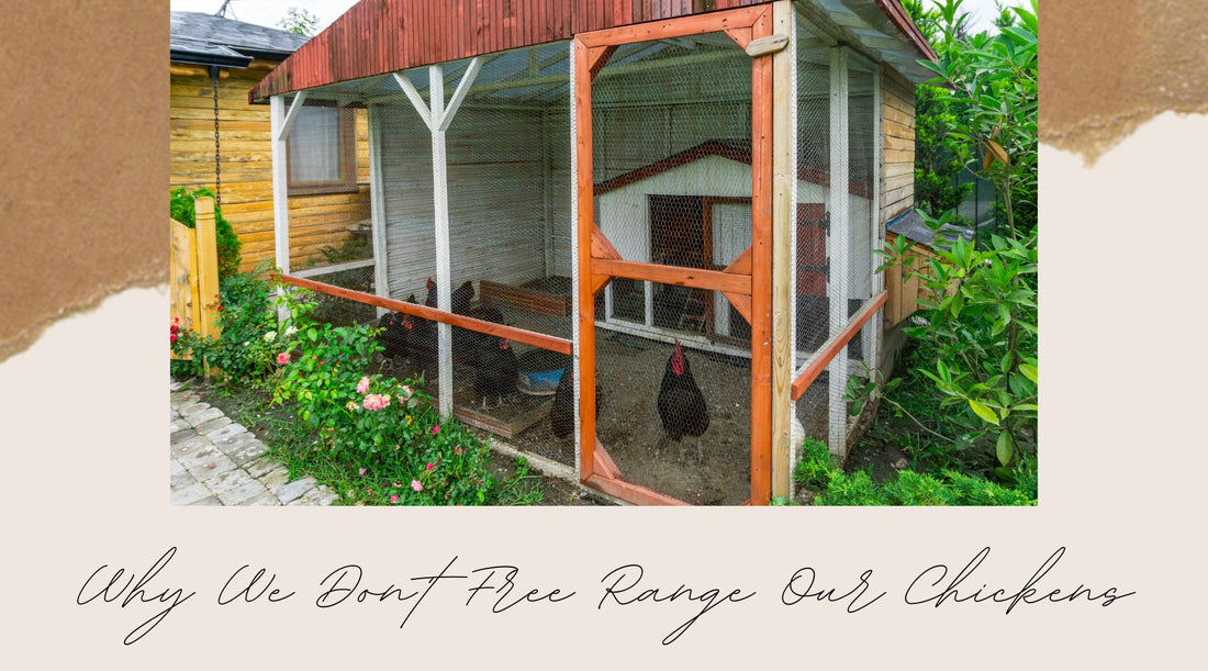Why We Don't Free Range Our Chickens